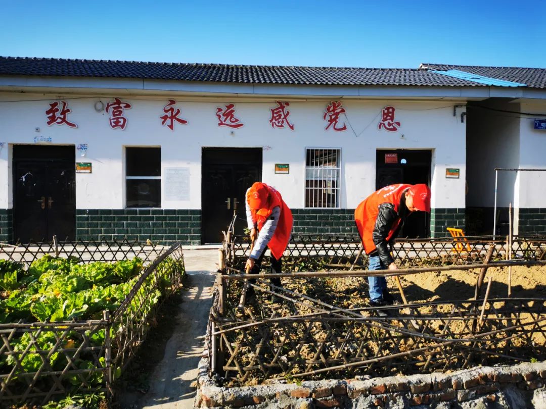 共同缔造试点行｜鄂坪乡唐家畈村2组：“爱心菜园”结出邻里互助硕果