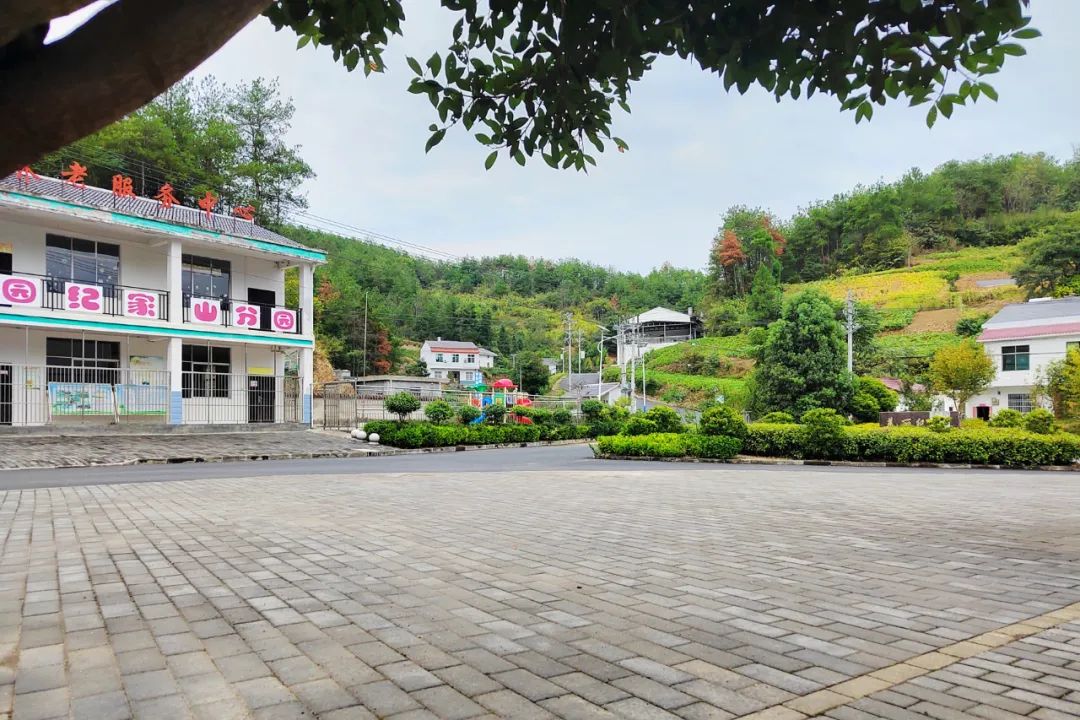共同缔造试点行｜水坪镇纪家山村2组：绘就和美乡村新画卷