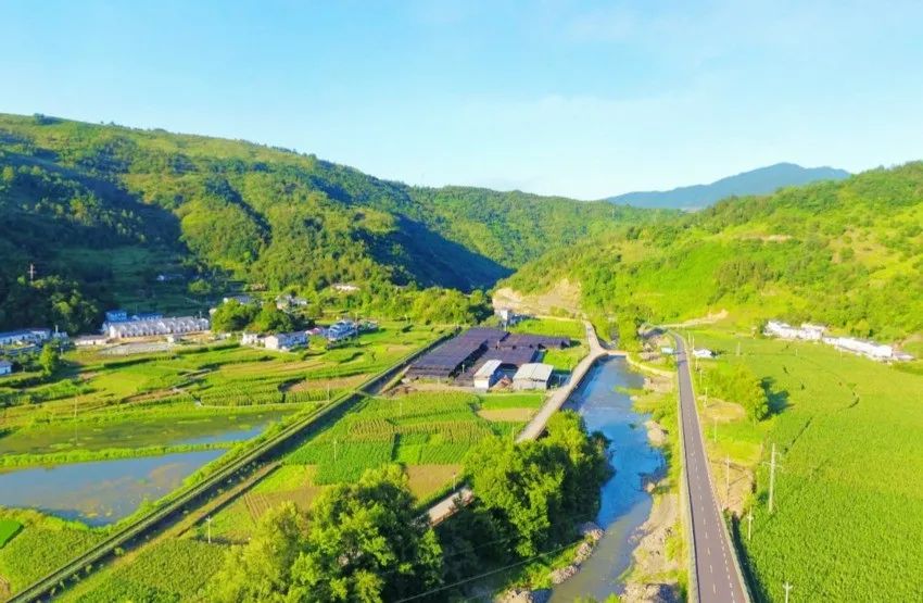 乡村振兴故事丨集体经济?“多点开花”，“三变”改革“钱景”广阔