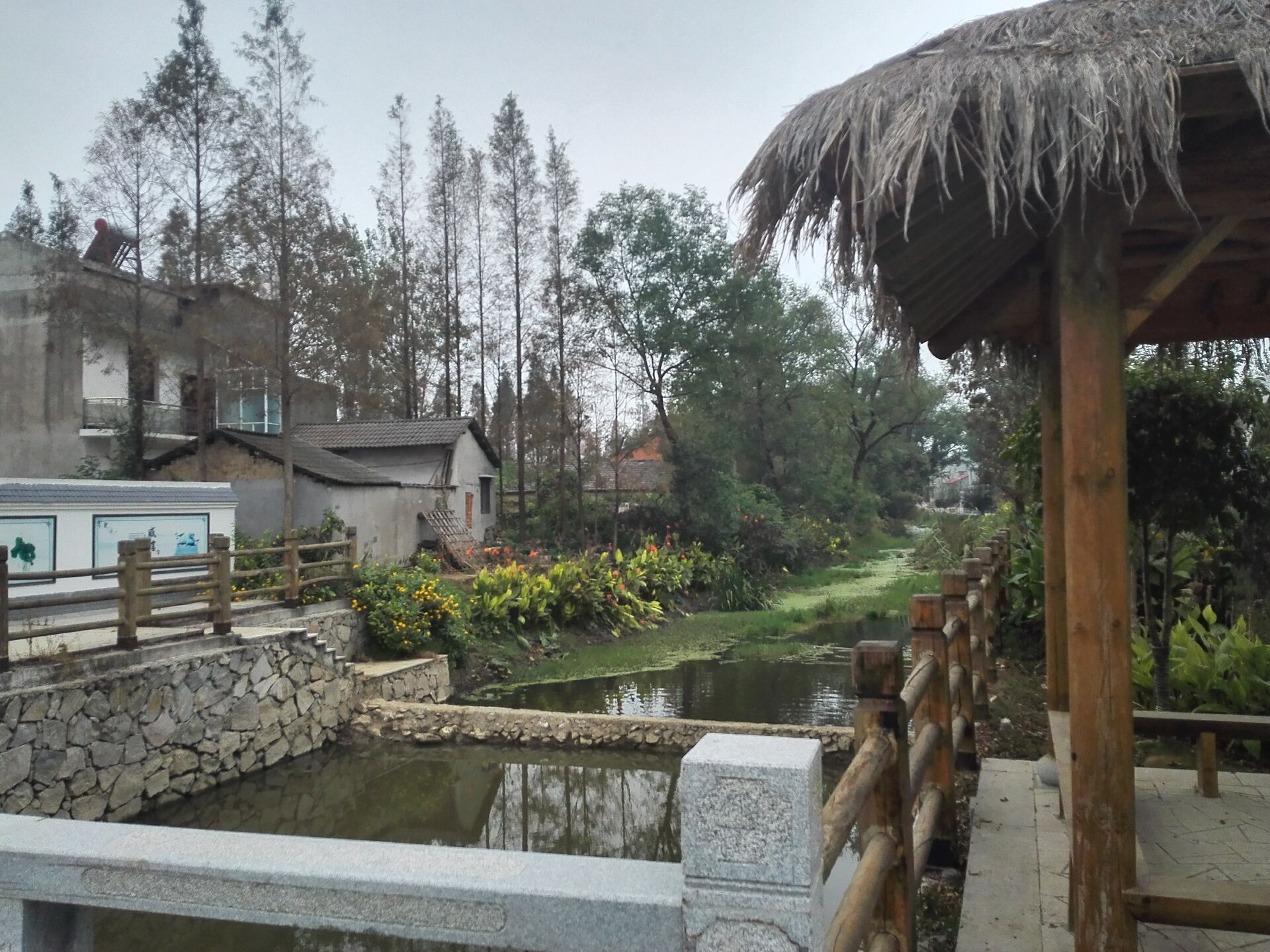 【长征路上奔小康之二】监利县新沟镇秦阳村:林下养鸡带富村民