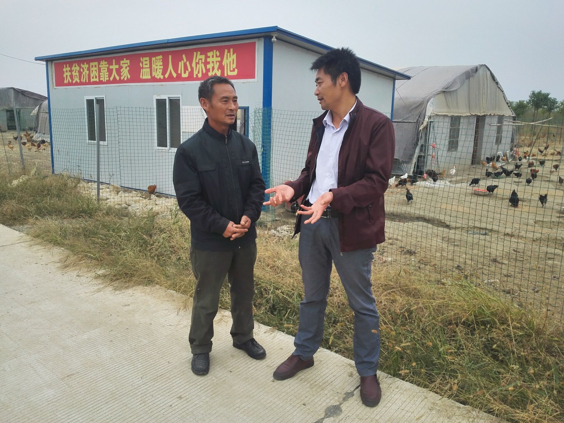 长征路上奔小康之二监利县新沟镇秦阳村林下养鸡带富村民