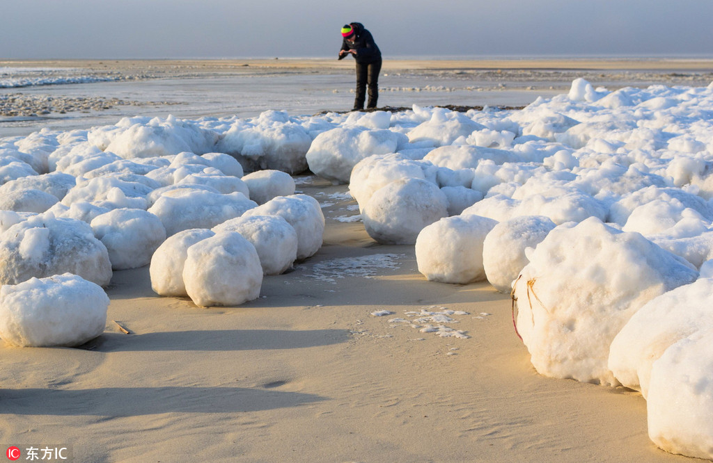俄罗斯海滩出现大批神秘雪球好像一颗颗大汤圆