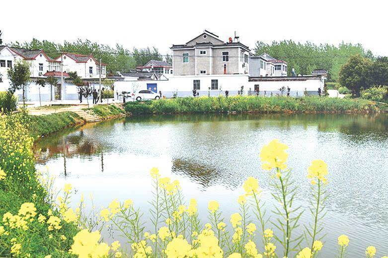 荆州25个村跻身湖北美丽乡村建设试点村有你的家乡吗