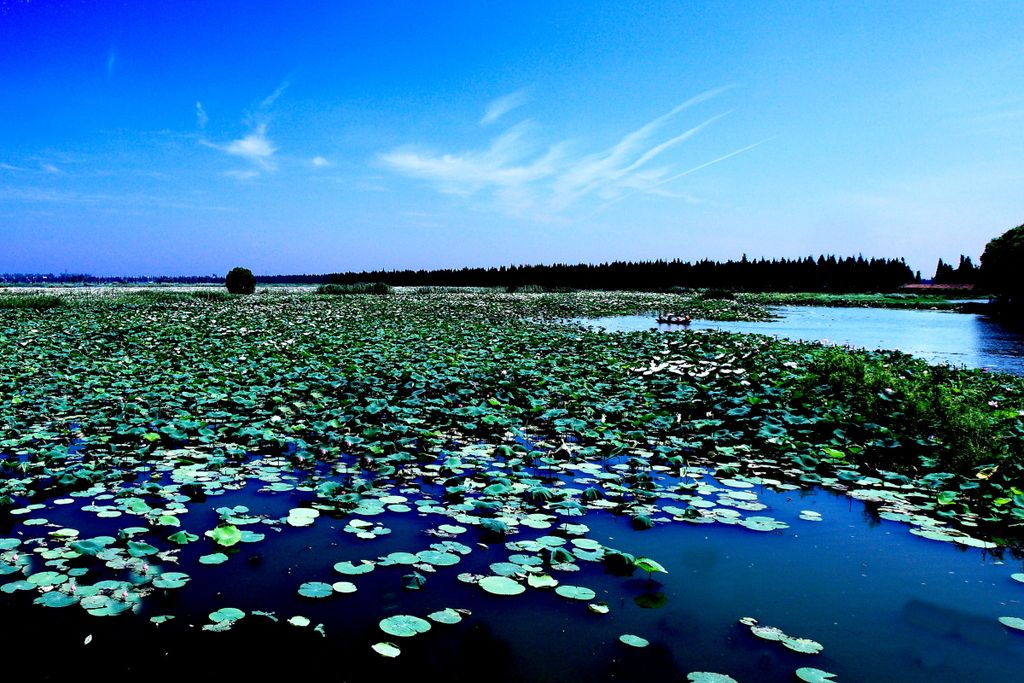 洪湖水图片风景图片