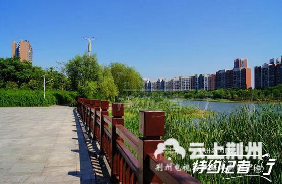 盛夏的荆襄河湿地公园