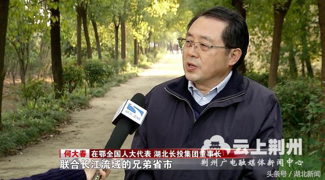全国人大代表 湖北长投集团董事长 何大春说:"联合长江流域的兄弟省市