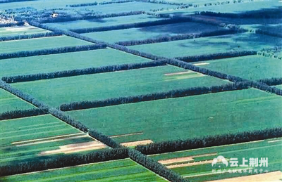 荆州地区200多名代表出席,叶昌保等11人被省政府授予特等劳动模范