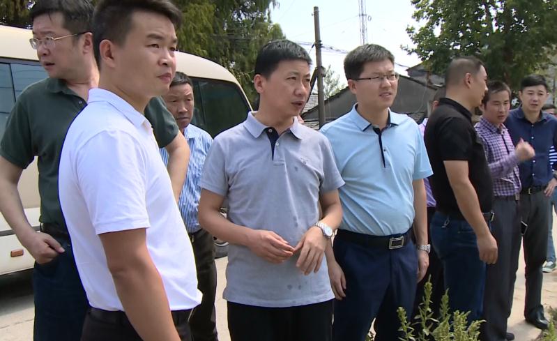 打造清水绿岸鱼翔浅底生态景象傅志峰巡察调研四湖总干渠综合治理工作