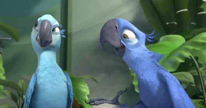 痛心还记得里约大冒险里的蓝色鹦鹉blu吗现正式宣布野外灭绝