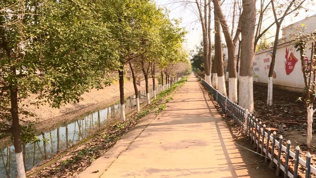 农家乐建起来美了监利这些村鼓了村民腰包