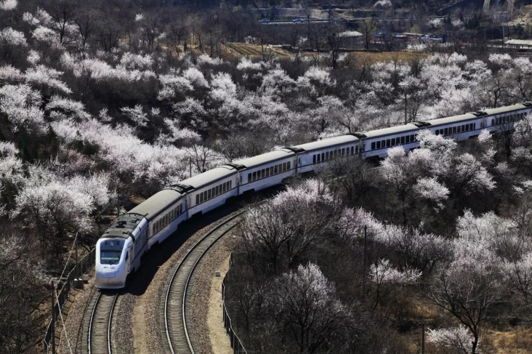 将让京张两地近在咫尺但提速的不只是铁路还有中国的国力和在国际上的
