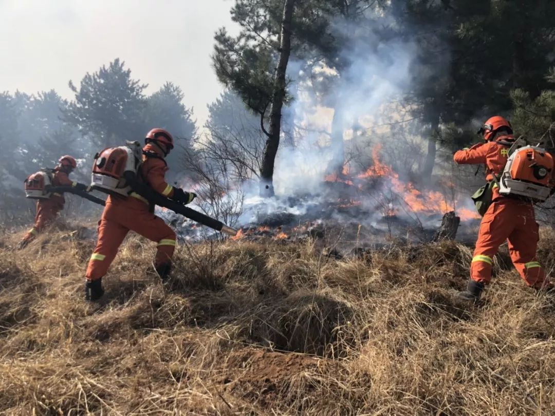 提醒近七成火灾由人为因素引起天干物燥这些防火事项要注意