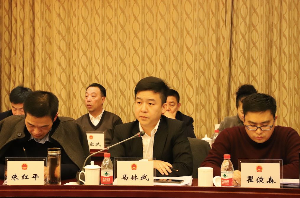 聚焦荆州两会沙市区代表团审议政府工作报告