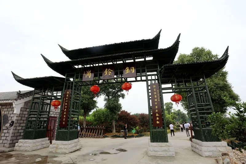 县委书记说全力打造好乡村旅游品牌