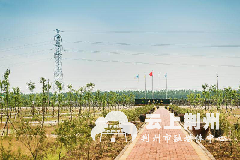 荆州市滩桥镇图片