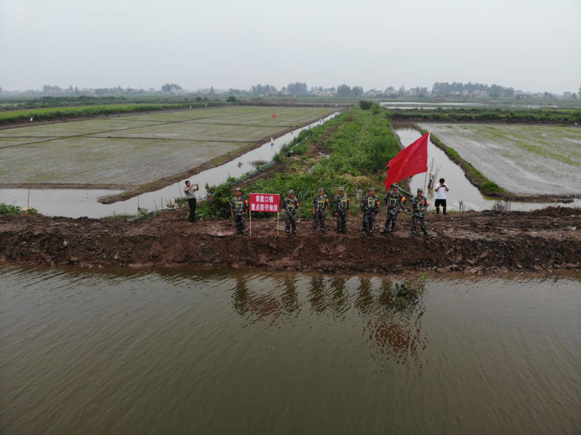 监利市黄歇口镇众志成城保安澜