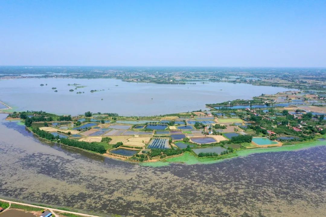 6月28日,在经过专家踏勘,区领导实地调研后,菱角湖国家湿地公园(试点)