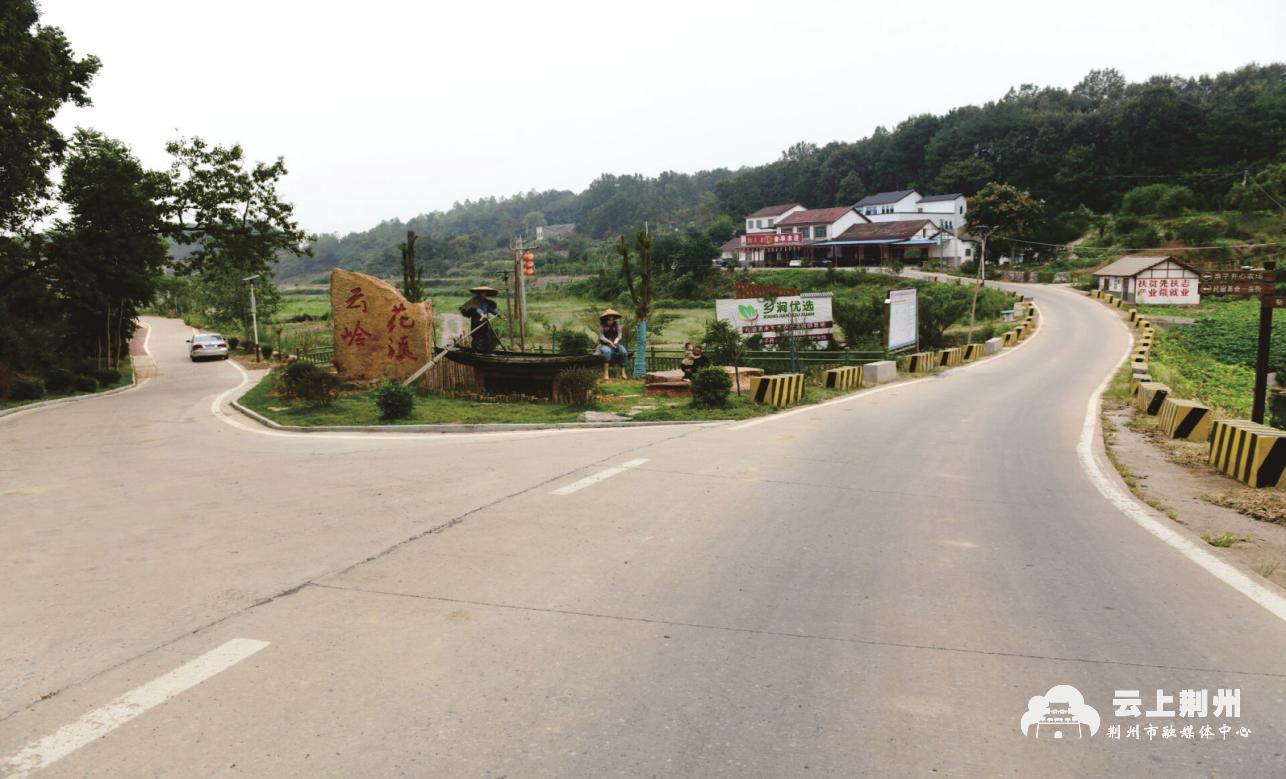 松滋市洈水镇樟木溪村千年古樟焕发新生机