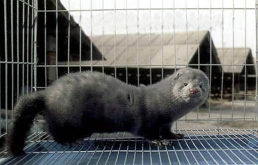 12月13日早安·荆州丨降了,湖北第二!