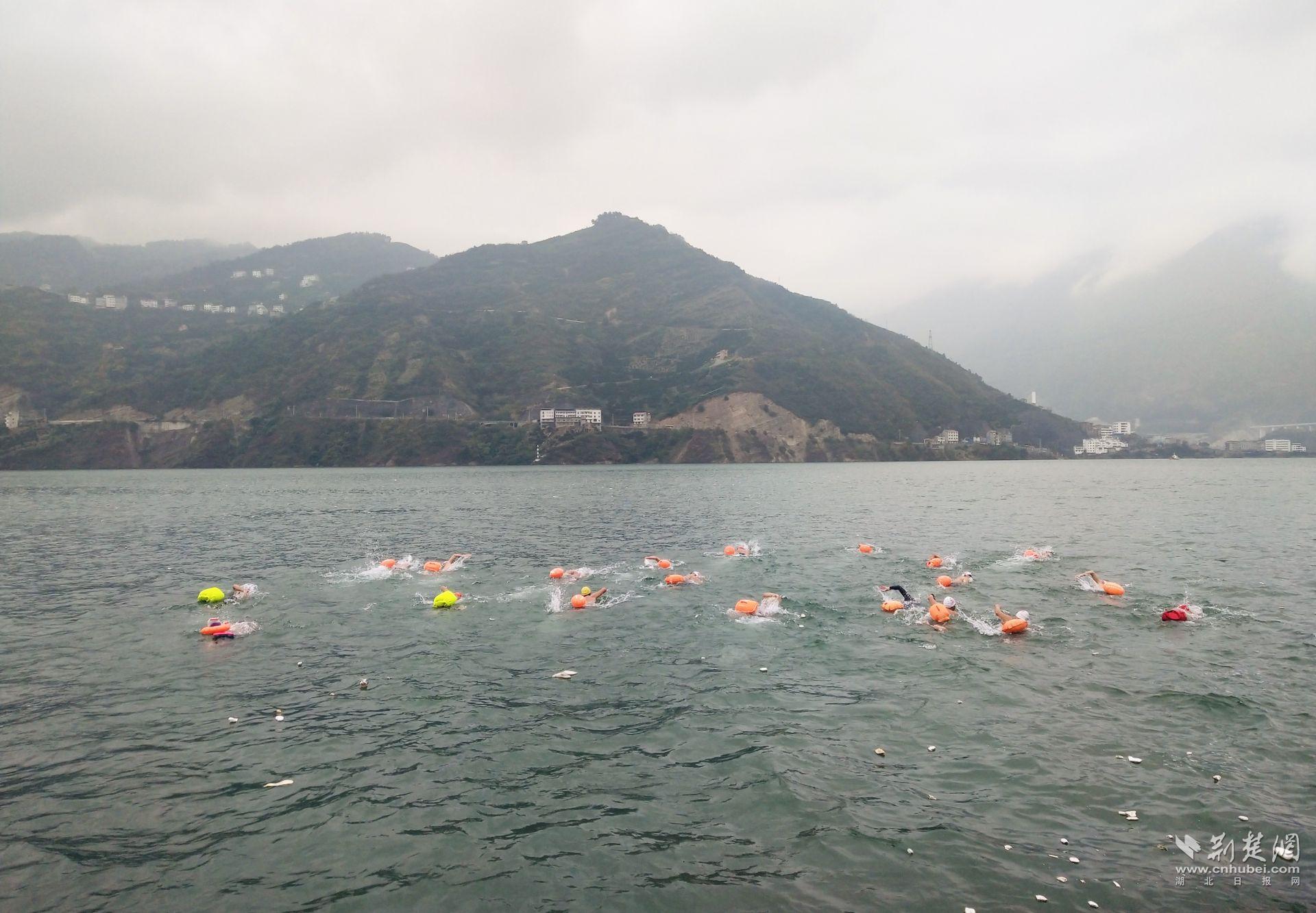 湖北百余名冬泳爱好者横渡长江西陵峡