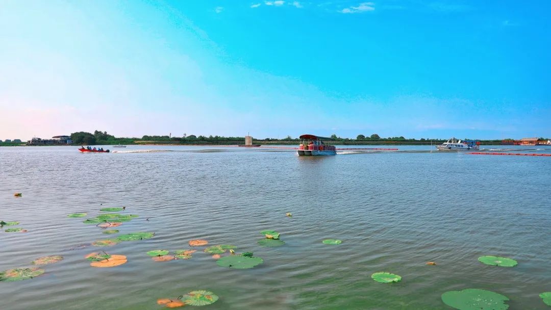 十年禁渔洪湖打出组合拳