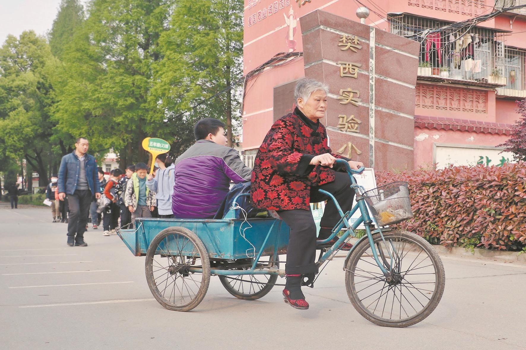 襄阳陪读婆婆三轮车上蹬出深沉的爱