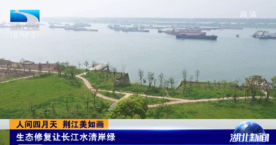 2018→2021年,荆州这样兑现对母亲河的誓言_江汉风