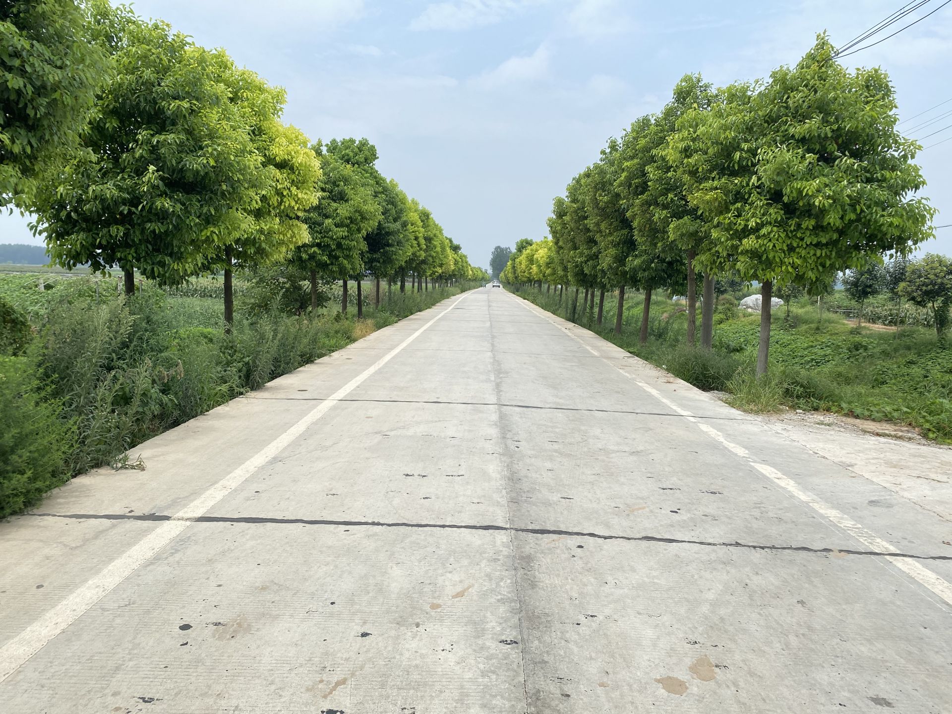 荆州高新区联发街道杨井村拓宽致富路畅通便民桥