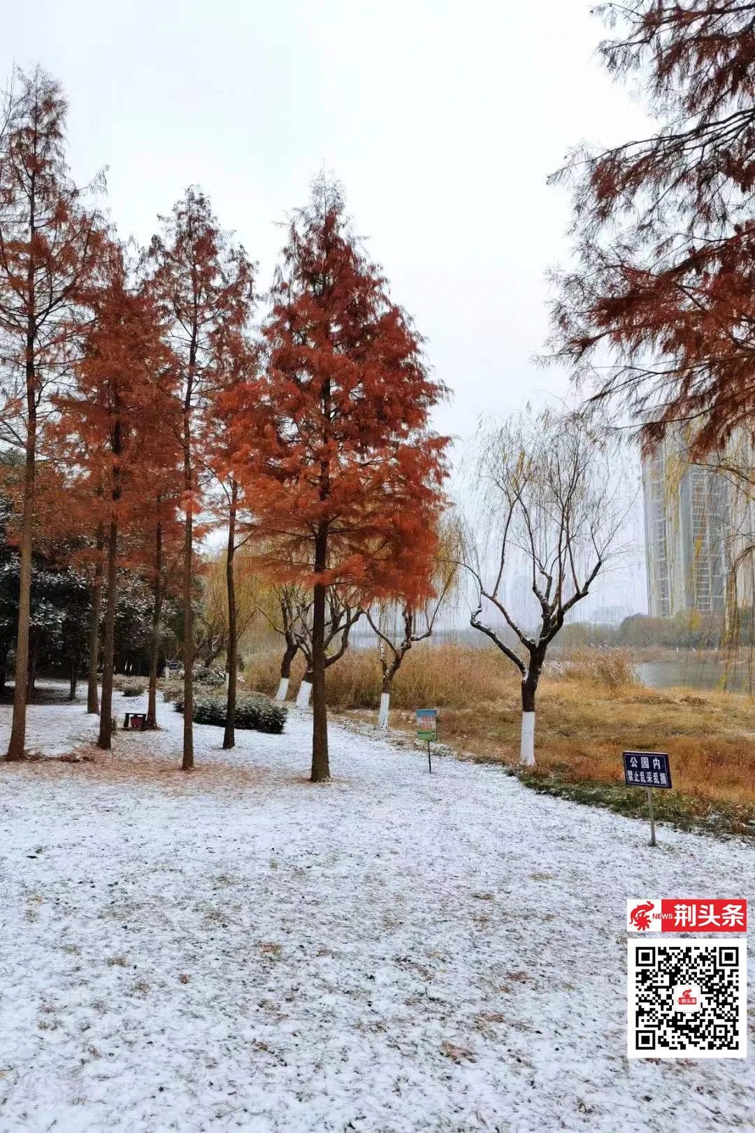 赏荆州雪景!_江汉风