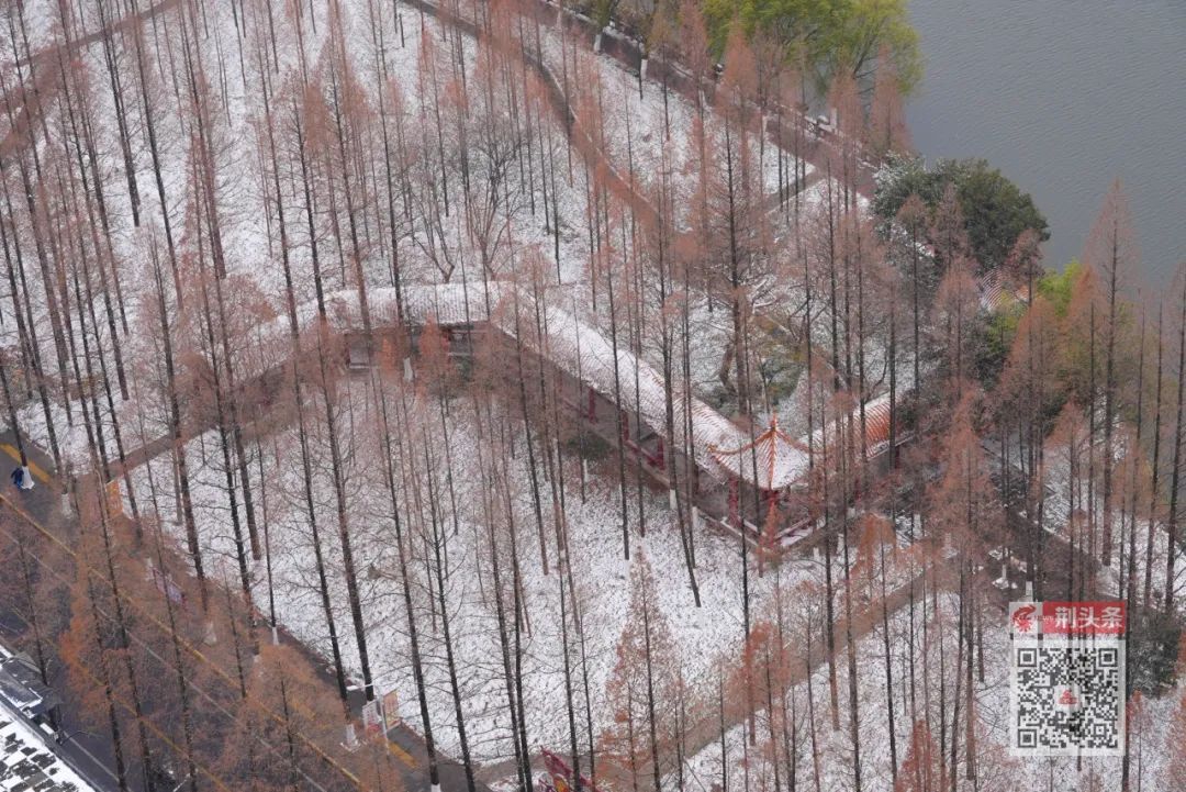 赏荆州雪景!_江汉风