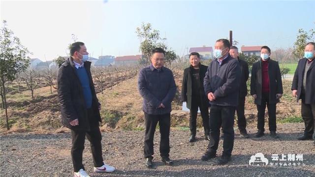 蒋鸿到公安县夹竹园镇新岗村走访调研乡村振兴工作