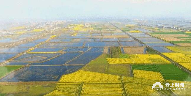 江陵县江北农场三场副场长 刘进平:150块钱是物质直补的形式给老百姓