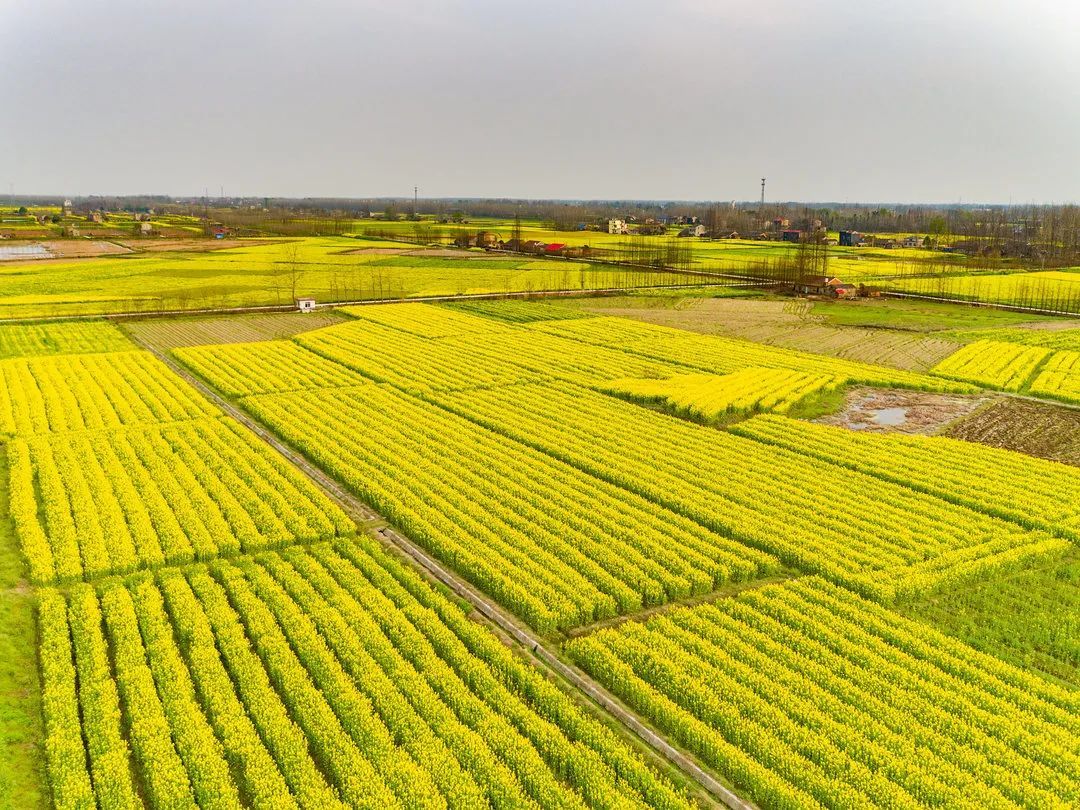 2022石首桃花山旅游季来啦石首这些景点你去过哪几个