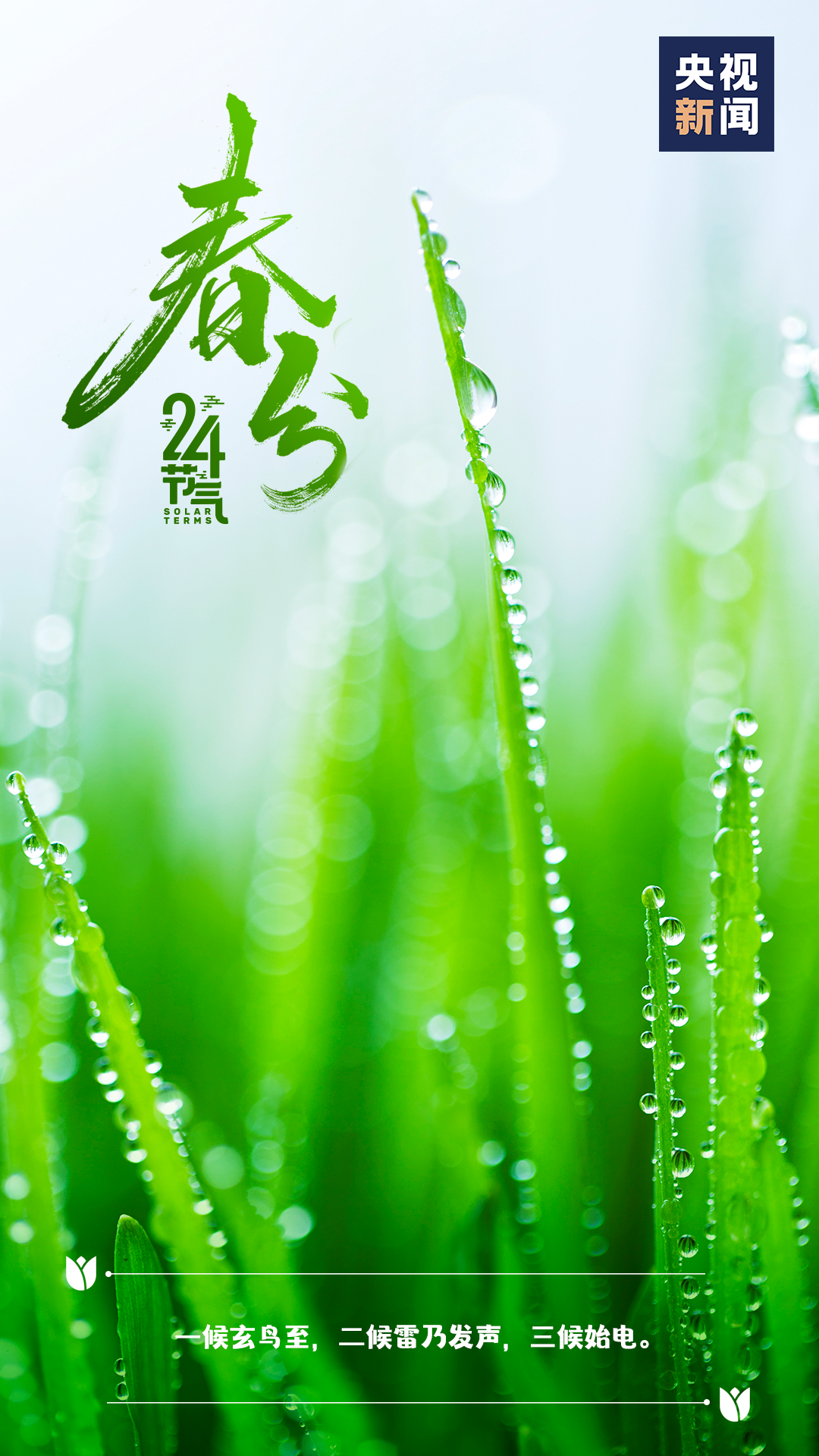 今日春分莫负好时光