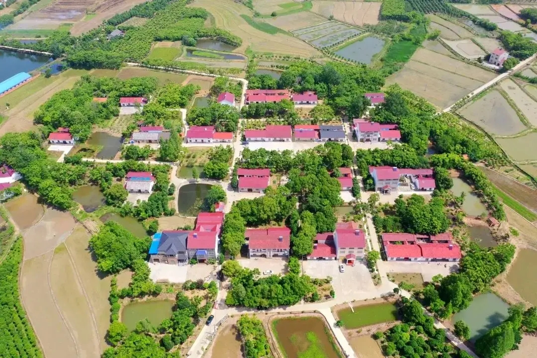 讲文明树新风荆州区马山镇联山村村美民富产业兴乡村振兴展新颜