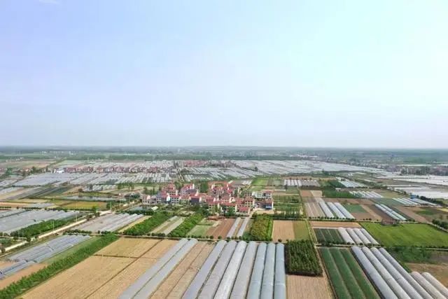 美好生活 共同缔造丨荆州高新区太湖港街道杨井村:争当"明星户",打造