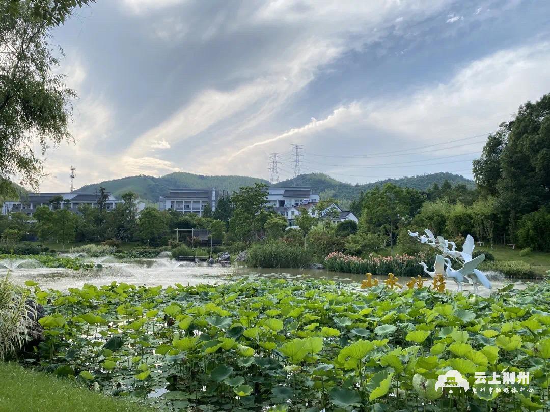 荆州马山镇菩提泉景区图片