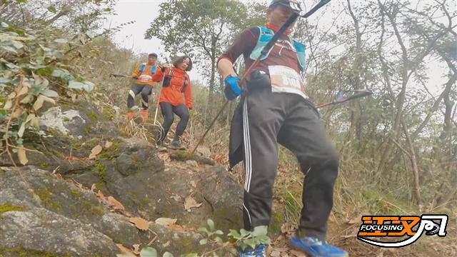 local3a243c03890b453284107b54c82a1202