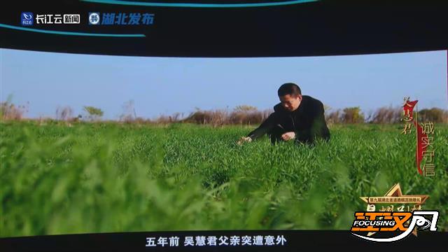 localffed1fddb9f744f5b32804bbf22fc7e4