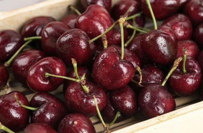 车厘子价格跌至每斤20元 春节年货新宠！