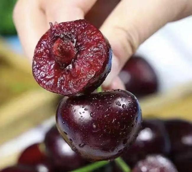 车厘子价格跌至每斤20元 春节年货新宠！