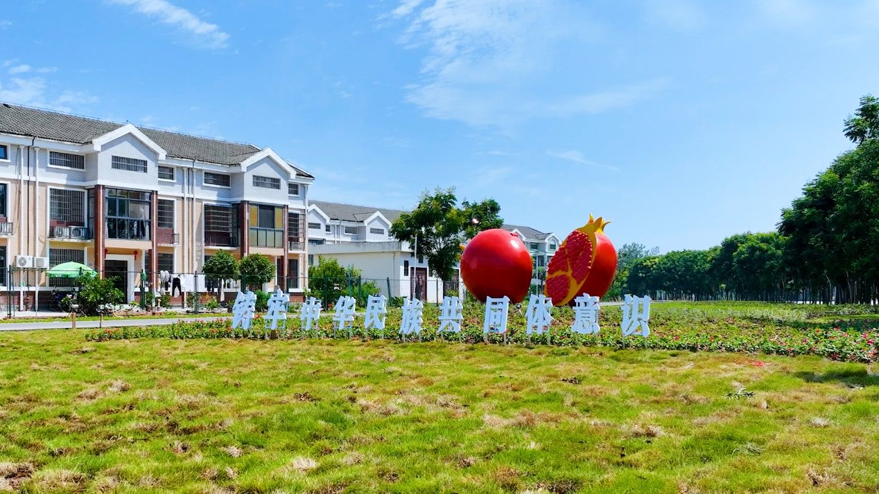 荆州区李埠镇新垸回族村:新颜换旧貌,"垸"景好生活