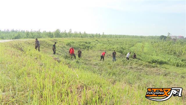 locald2167f5f5078410d8604f2dc0d645bc3