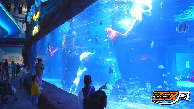 local9835773fa2fe465a837ba11f9d054b2c