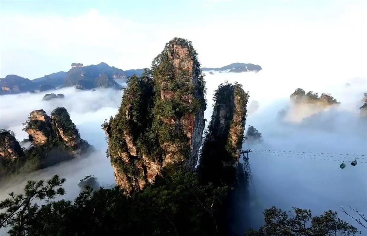 微信图片_20250226161540.png