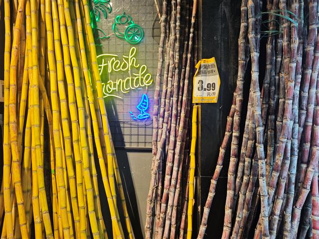 local55596e48760e4ff2b732ebe837956579