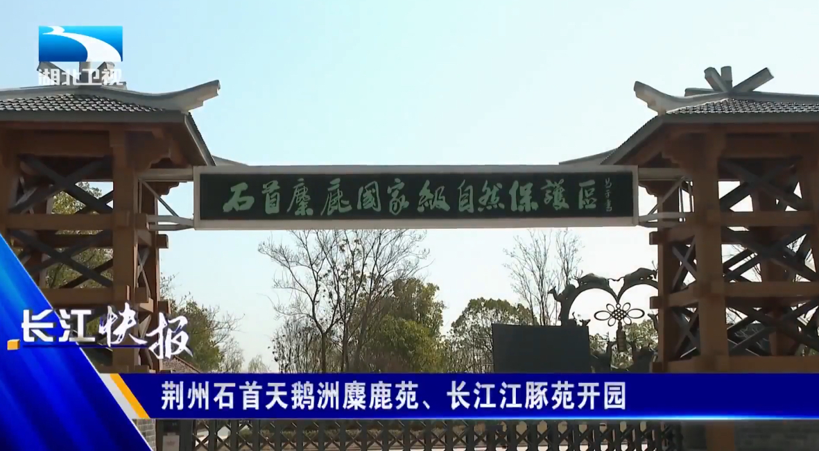 正在上传...