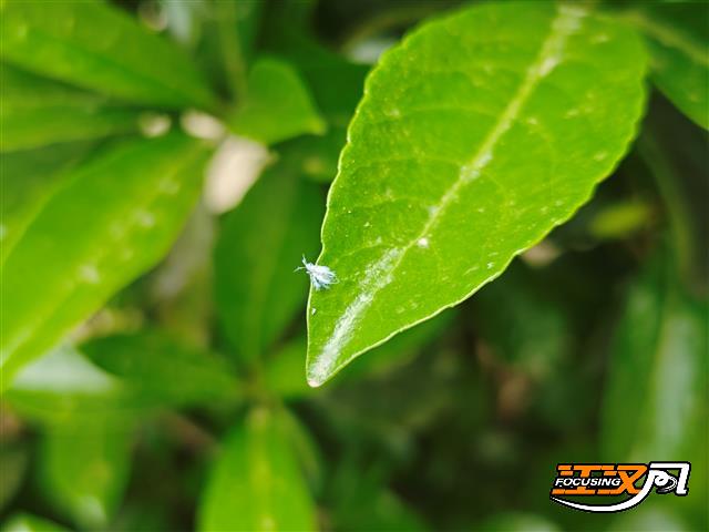 local33e9504d10f744818642e6407d8e6fb5