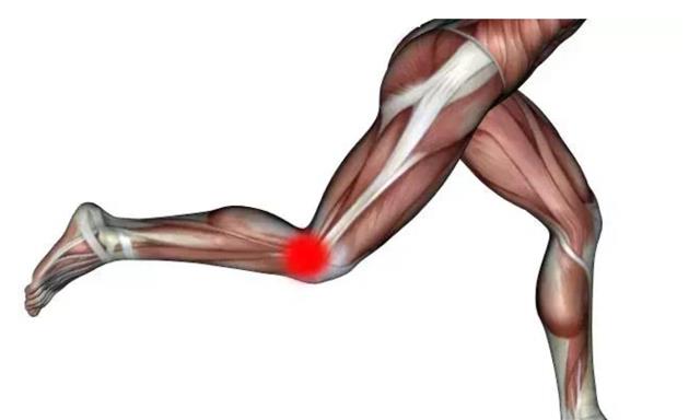 local7b19c23a3c234779969474b839e365c5