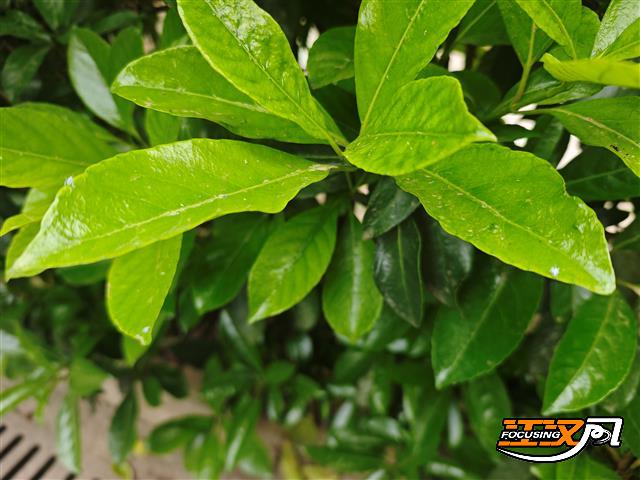 local9468d5b5755f4fb887be89f03f1d6716